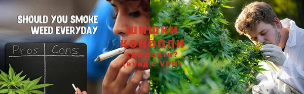 эйфоретик Новодвинск