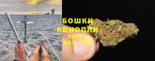 марки lsd Новозыбков