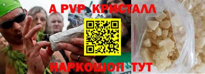 индика Гусев