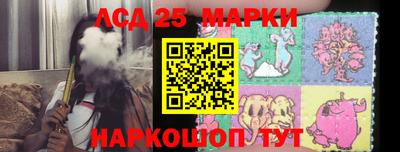 индика Гусев