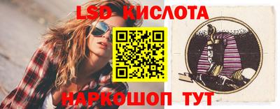 индика Гусев