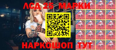 индика Гусев