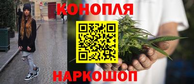 индика Гусев