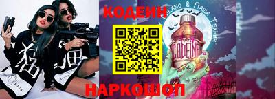 индика Гусев