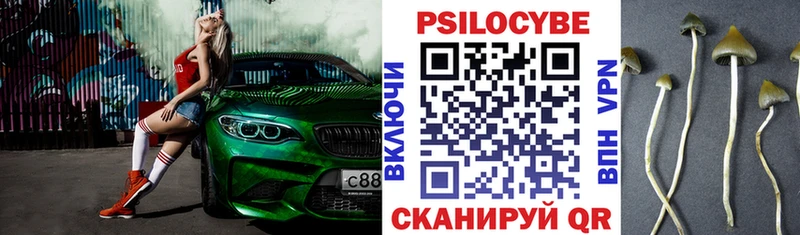 Галлюциногенные грибы Cubensis Клин