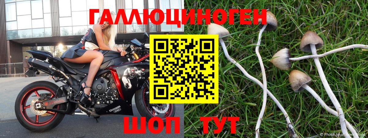 даркнет сайт  Клин  Псилоцибиновые грибы мухоморы  Галлюциногенные грибы мицелий 