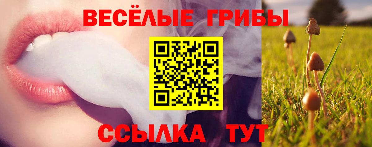 Псилоцибиновые грибы Cubensis  Псилоцибиновые грибы мицелий  Вход с VPN  Клин 